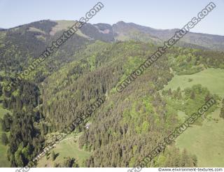 background nature forest High Tatras 0019